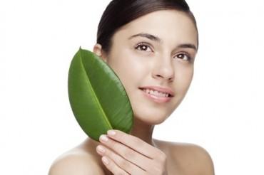 How To Use Tea Tree Oil For Acne?