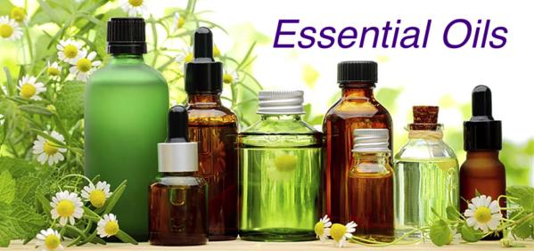 Top 5 Essential Oils That Are Important For Your Skincare and How to Use Them