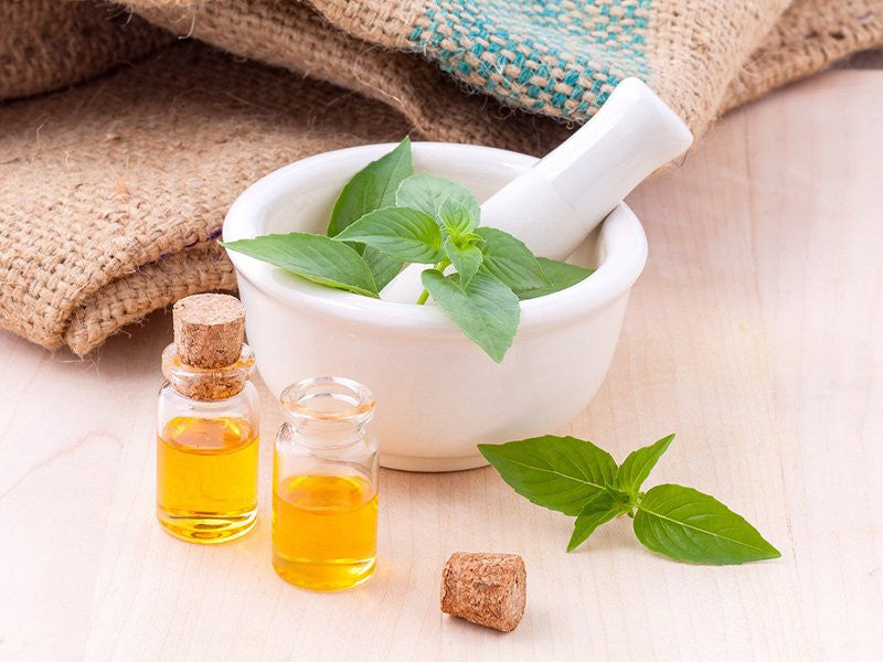 Everything You Need To Know About The Benefits Of Tea Tree Oil