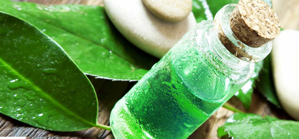 Top 21 Uses for Tea Tree Oil